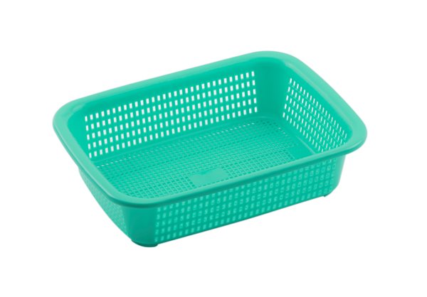 Encryption screening